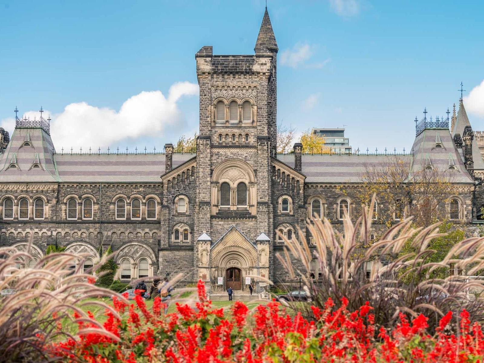 Бакалавриат в Канаде — Undergraduate