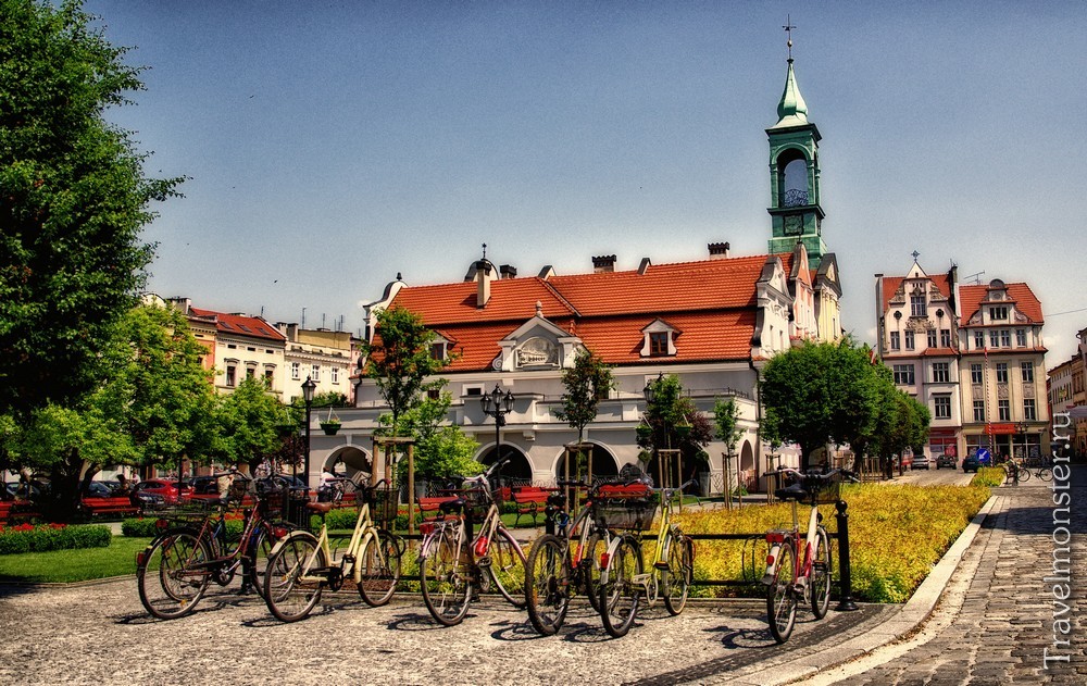 Образование в Польше